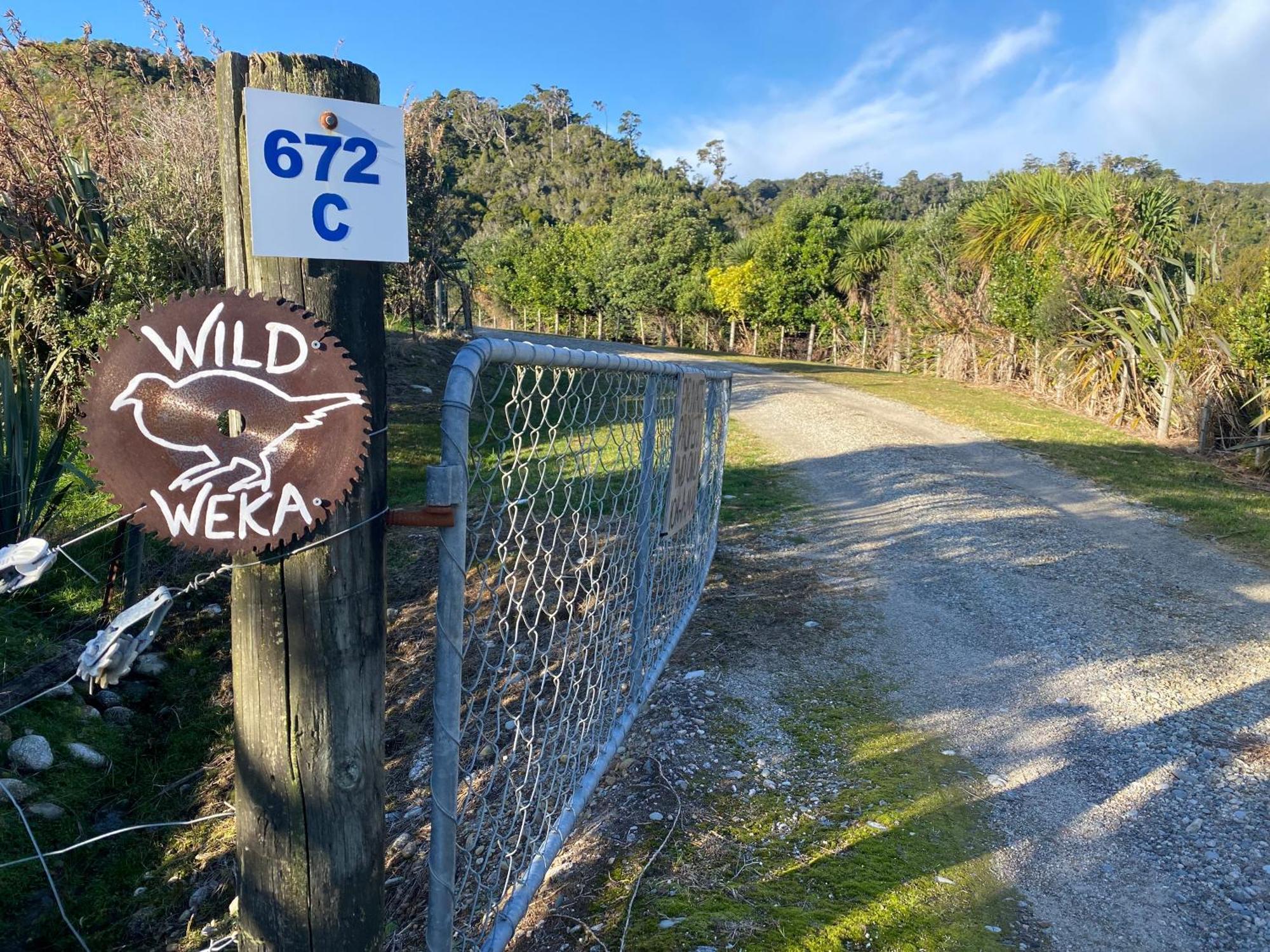 Wild Weka Eco Stay - Off-Grid 4Wd Recommended Waimarie المظهر الخارجي الصورة